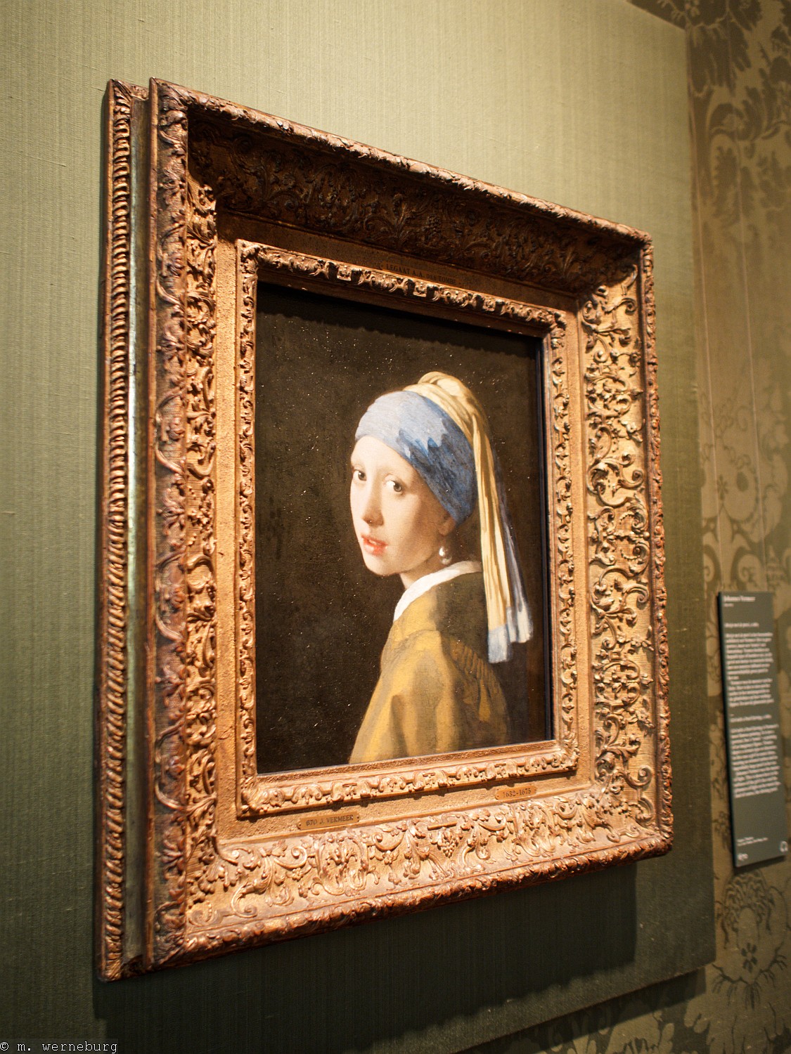 girl with a pearl earring hand-held