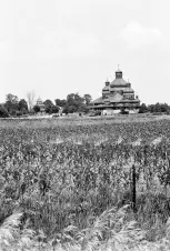 temple-in-a-corn-field