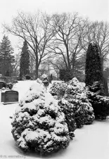 cemetery-in-winter