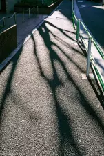 long-shadows-of-Tokyo-in-January