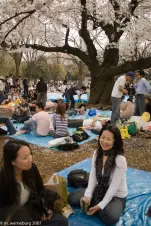 crowding-is-nothing-new-for-Tokyosiders