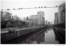 Tokyo-streets