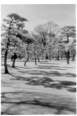 infra-red-palace-grounds