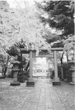 torii-at-Shinagawa-shrine