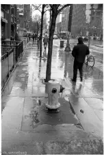 no-need-for-a-hydrant-today