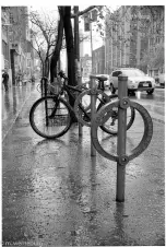 parked-bike-in-the-rain
