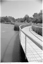 wetlands-walkway