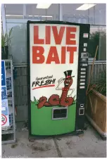 live-bait-in-a-vending-machine