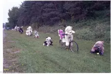 a-parade-of-cycling-teddy-bears,-Ontario