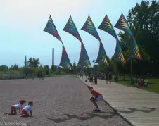 kites-attacking-passersby
