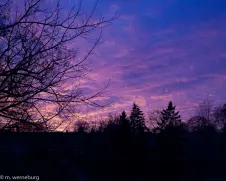 purple-sky-at-night