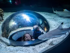 Toronto Aquarium, June 2015