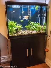 happiness-is-a-stable-aquarium