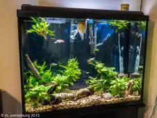 Toronto-aquarium