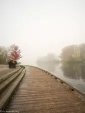 misty-morning-on-Toronto's-waterfront