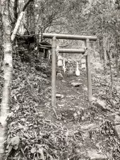 A-small-shrine-in-the-hills-of-Miyazaki