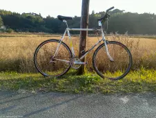 my-old-steed