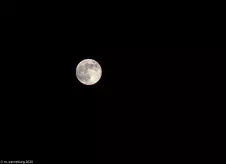 full-moon-at-night