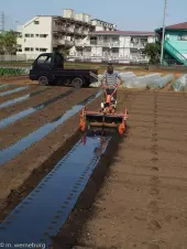 laying-down-plastic-for-rows-of-produce