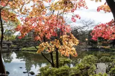 autumn colors, tokyo 2022