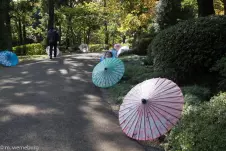 peakaboo-with-the-parasols