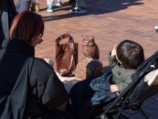 a-snack-with-an-owl