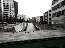 bleached-nakano-river