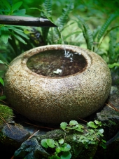 water-folly-at-shrine-in-Fukuoka