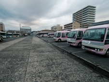 karatsu-buses-are-a-cute-pink