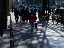 shadows-and-reflections-on-the-sidewalk