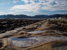 tiny-tide-pools-in-a-row