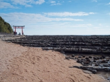 torii-at-a-sea-side-shrine