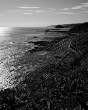 Washboard-geology-on-the-shore-of-Miyazaki-prefecture