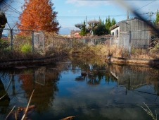 abandoned-wading-pool