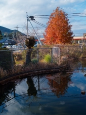 abandoned-wading-pool-in-late-autumn