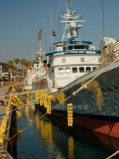 fishing-boats-at-new-years