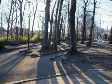 one-afternoon-in-kokubunji-in-february