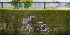 bike-left-by-a-hedge