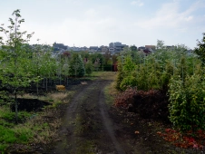 nursery-in-suburban-tokyo