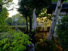 shrine-grounds-at-dawn