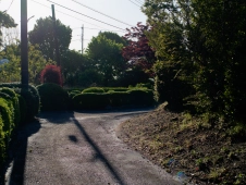 old-farm-laneway-kokubunji