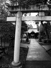 a-shinto-shrine-as-the-day-wanes