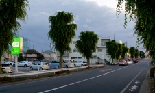 tree-lined-stroad