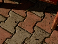 three-tiny-frogs