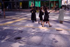dappled-day-of-the-office-lady