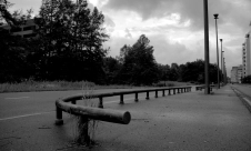 silent-Hague