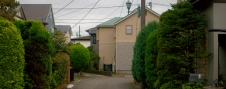leafy-suburb