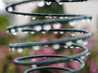 raindrops from a bird feeder