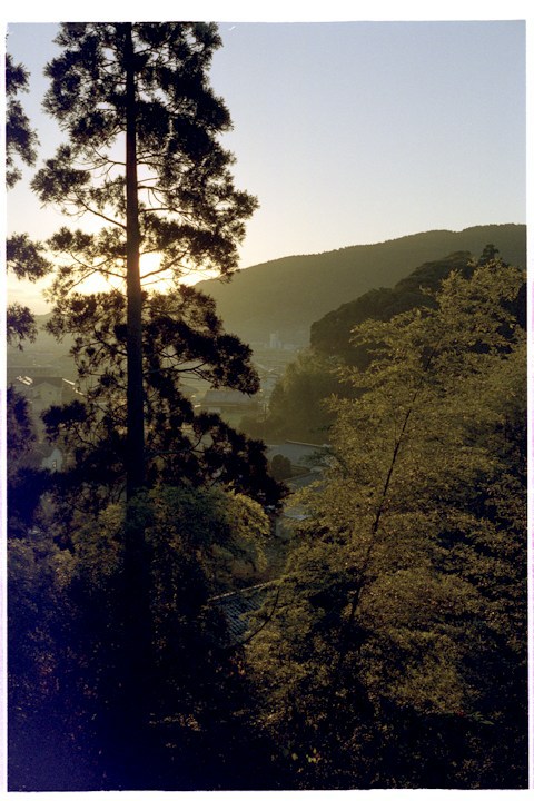 sunrise seen from a wooded hill-side