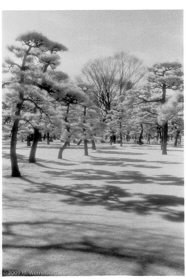 infra-red palace grounds